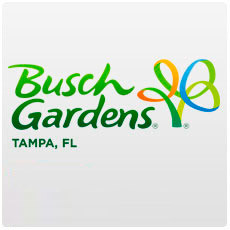 BUSCH GARDENS TAMPA – QUICK QUEUE UNLIMITED 